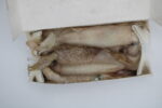 ROYAL CALAMARI 454G X 24 - Image 4